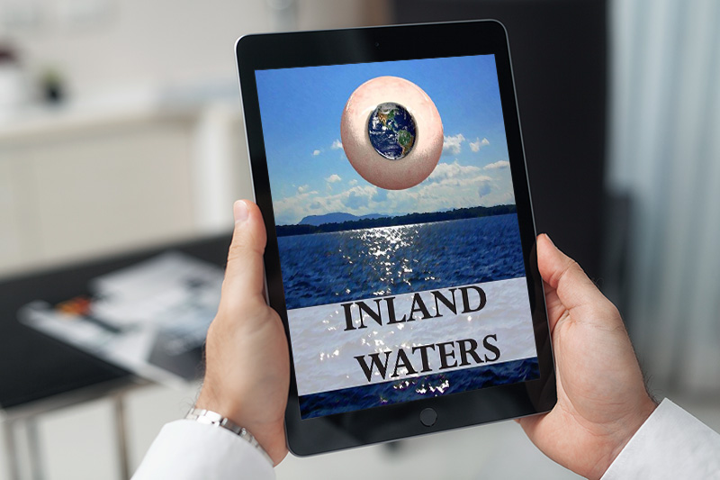 Inland Waters by Olivia Diamond